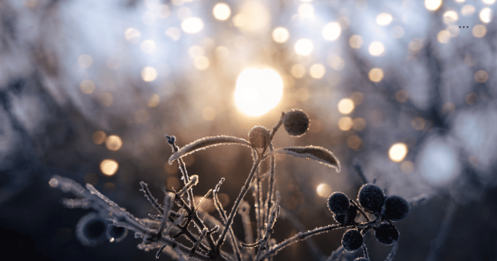 spiritual meaning of winter solstice